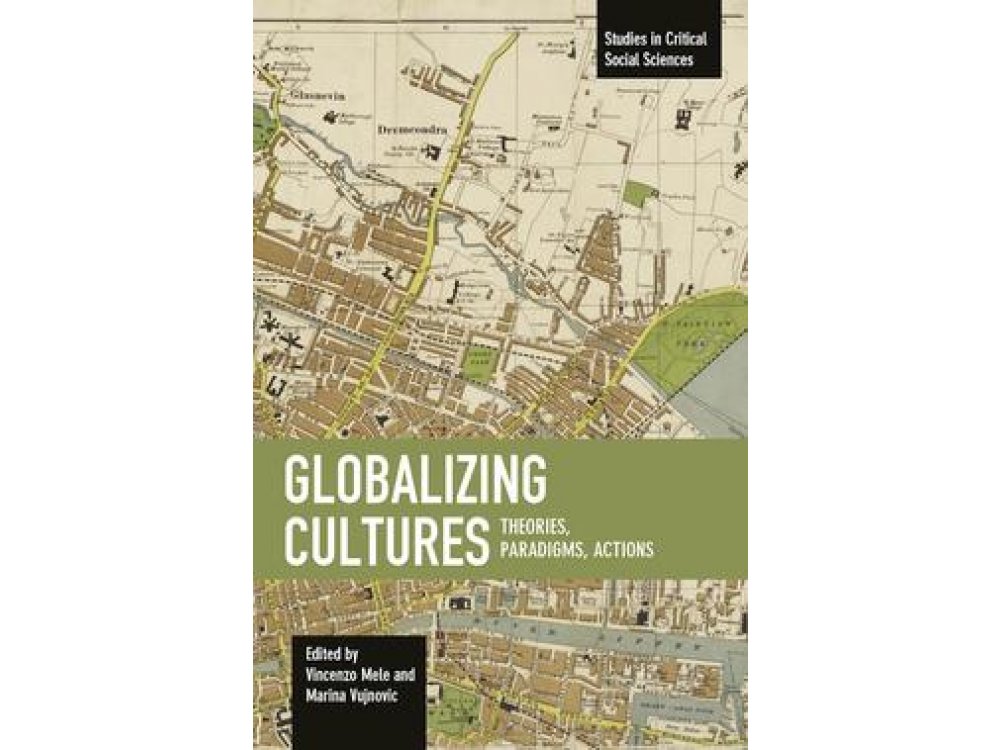 Globalizing Cultures: Theories, Paradigms, Actions