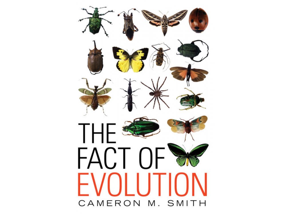 Fact of Evolution