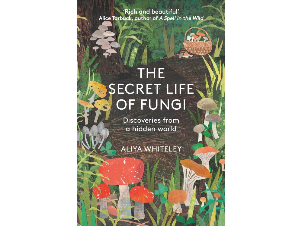 The Secret Life of Fungi: Discoveries from a Hidden World
