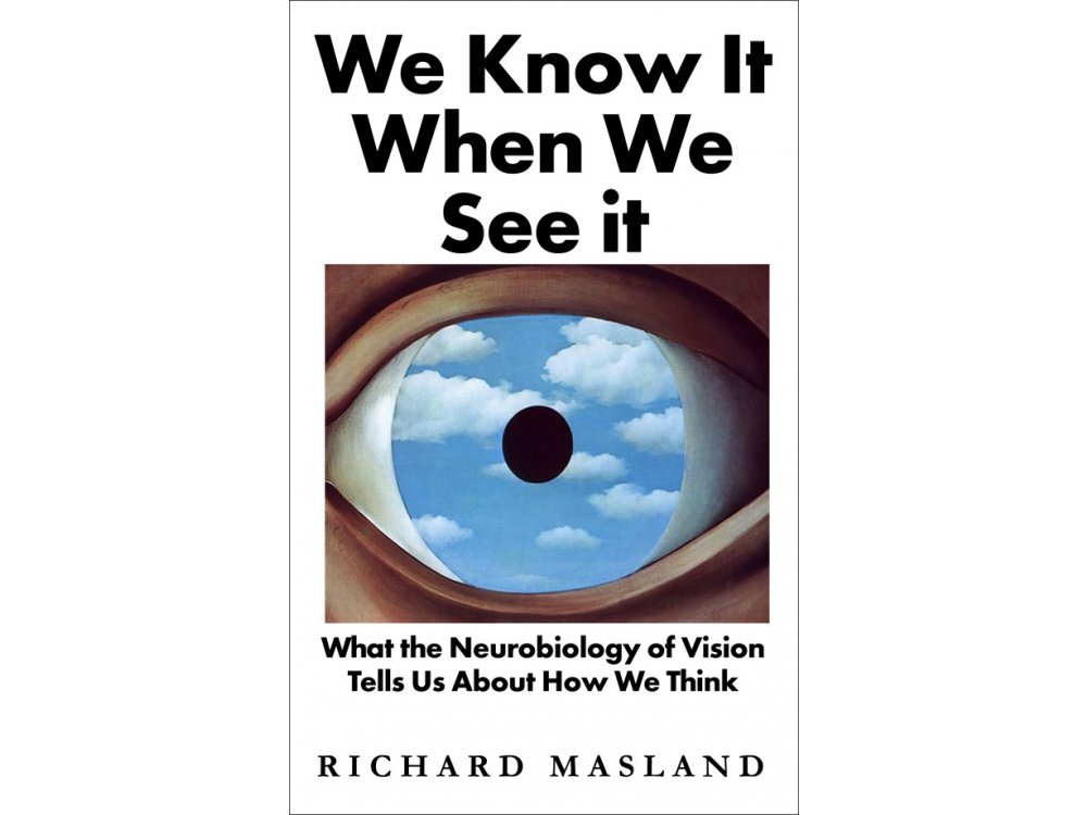 We Know It When We See It: What the Neurobiology of Vision Tells Us About How We Think