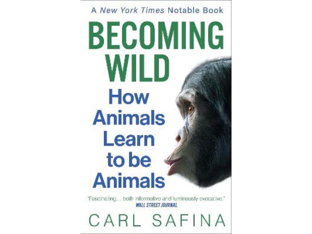 Becoming Wild: How Animals Learn to Be Animals