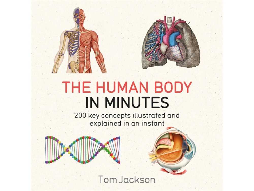Τhe Human Body In Minutes