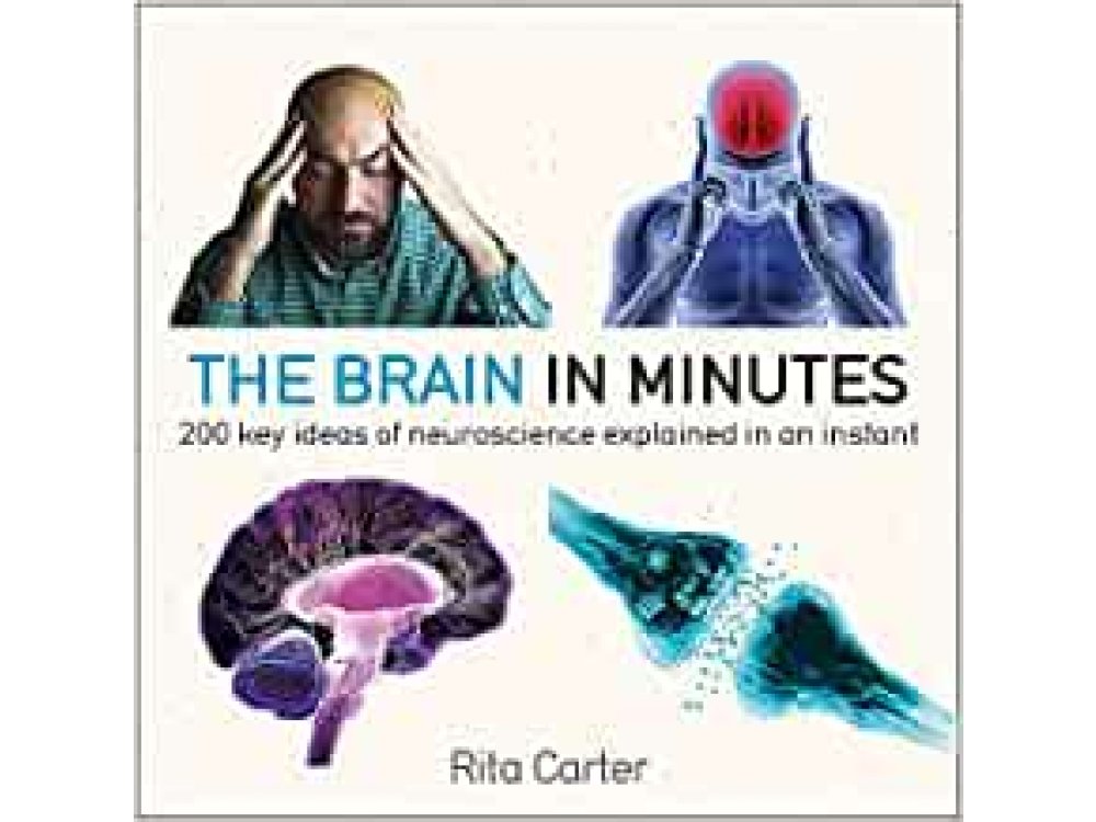 The Brain in Minutes: 200 Key Ideas of Neuroscience Explained in an Instant