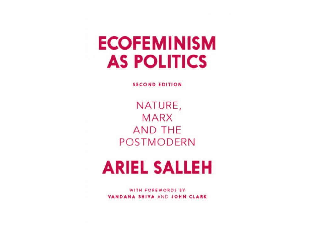 Ecofeminism as Politics: Nature, Marx and the Postmodern