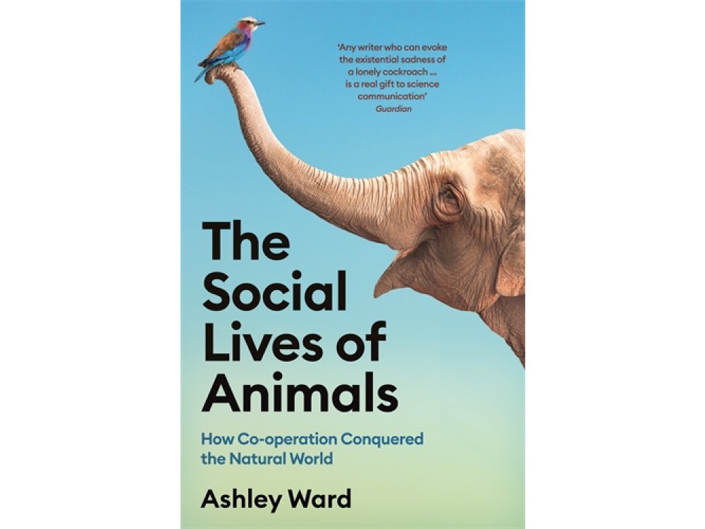 The Social Lives of Animals: How Co-Operation Conquered the Natural World