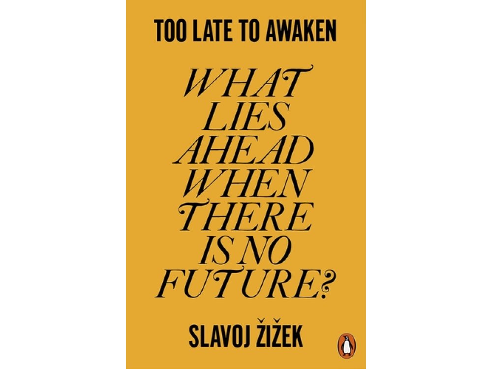 Too Late to Awaken: What Lies Ahead When There is No Future?