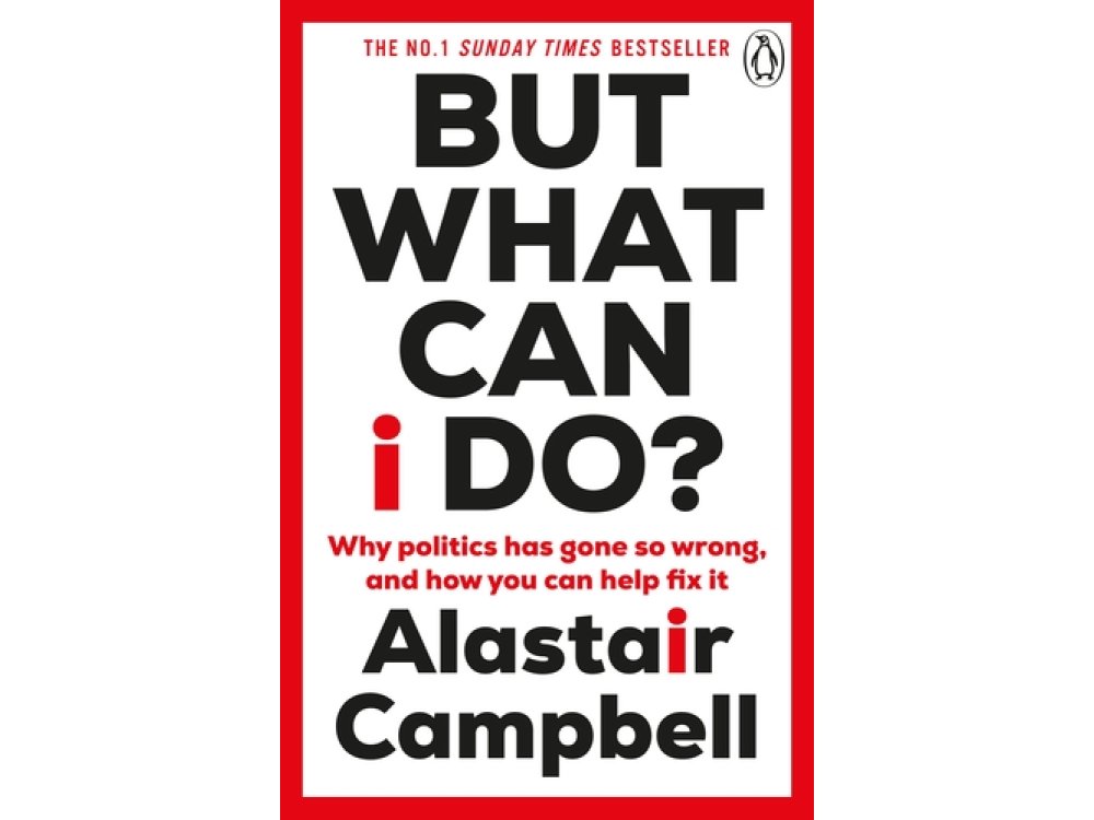 But What Can I Do?: Why Politics Has Gone So Wrong, and How You Can Help Fix It