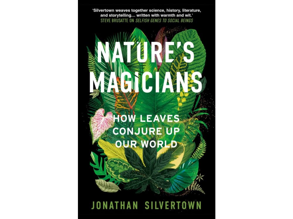 Nature's Magicians: The Hidden Powers of Leaves