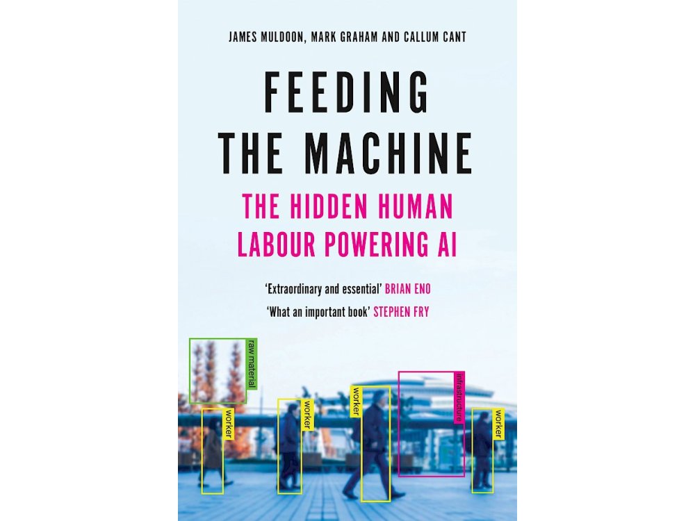 Feeding the Machine: The Hidden Human Labour Powering AI