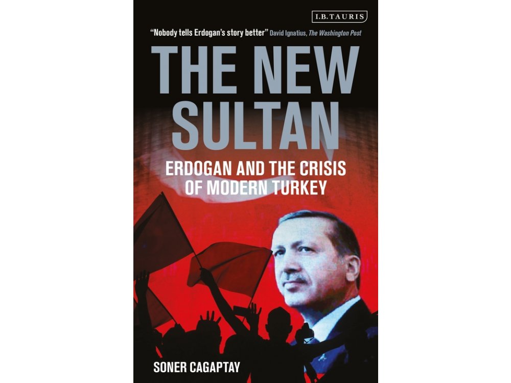 The New Sultan: Erdogan and the Crisis of Modern Turkey