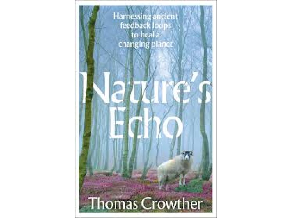 Nature's Echo: Harnessing Ancient Feedback Loops to Heal a Changing Planet