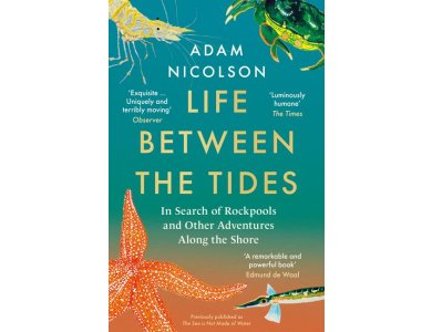 Life Between the Tides: In Search of Rockpools and Other Adventures Along the Shore