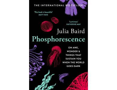 Phosphorescence: On Awe, Wonder & Things that Sustain You When the World Goes Dark