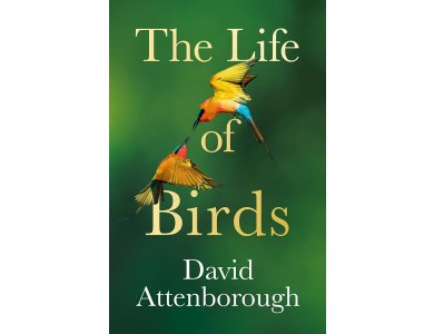 The Life of Birds