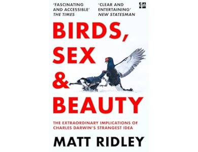 Birds, Sex and Beauty: The Extraordinary Implications of Charles Darwin’s Strangest Idea