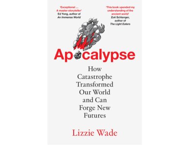 Apocalypse: How Catastrophe Transformed Our World and Can Forge New Futures