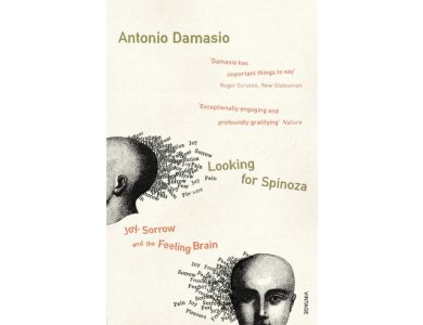 Looking for Spinoza: Joy, Sorrow and the Feeling Brain