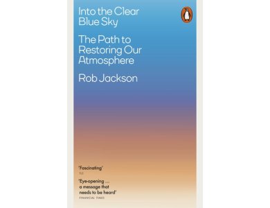 Into the Clear Blue Sky: The Path to Restoring Our Atmosphere