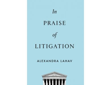 In Praise of Litigation