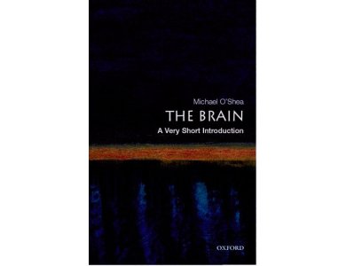 The Brain: A Very Short Introduction