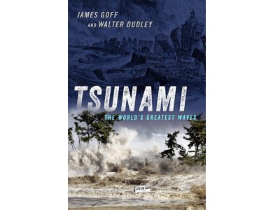 Tsunami: The World's Greatest Waves