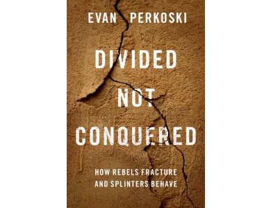 Divided Not Conquered: How Rebels Fracture and Splinters Behave