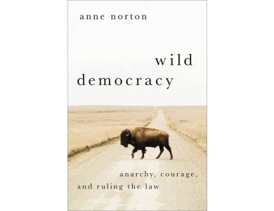 Wild Democracy: Anarchy, Courage, and Ruling the Law