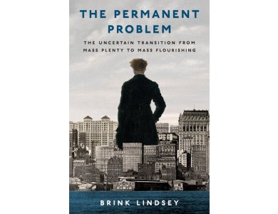 The Permanent Problem: The Uncertain Transition from Mass Plenty to Mass Flourishing