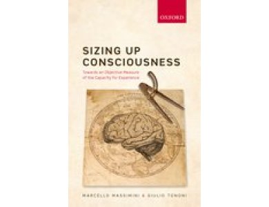 Sizing Up Consciousness: Towards an Objective Measure of the Capacity for Experience