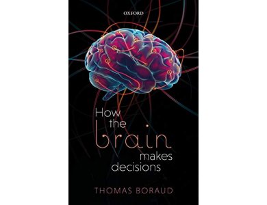 How the Brain Makes Decisions