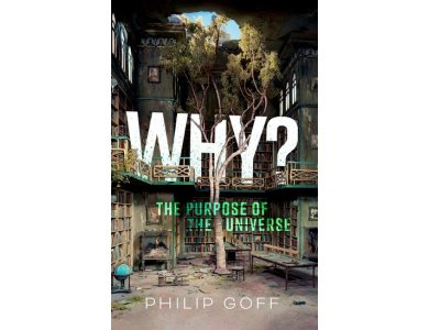 Why? The Purpose of the Universe