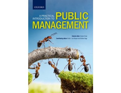 A Practical Introduction to Public Management