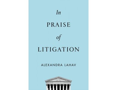 In Praise of Litigation