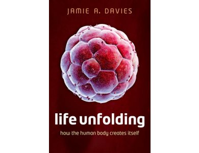 Life Unfolding : How the Human Body Creates Itself
