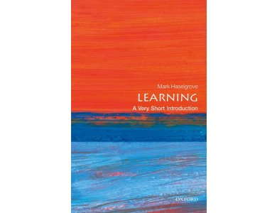 Learning: A Very Short Introduction