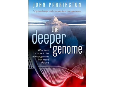 The Deeper Genome: Why There is More to the Human Genome that Meets the Eye