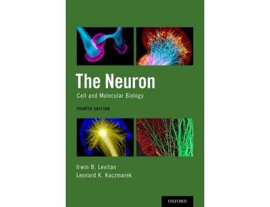 The Neuron: Cell and Molecular Biology