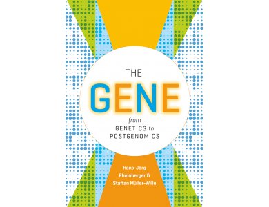 The Gene: From Genetics to Postgenomics