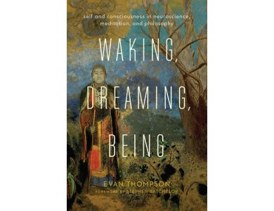 Waking, Dreaming, Being: Self and Consciousness in Neuroscience Meditation and Philosophy