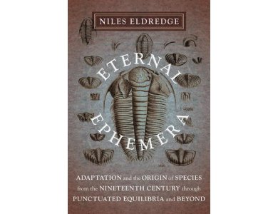 Eternal Ephemera: Adaptation and the Origin of Species From the Nineteenth Century Through Punctuate