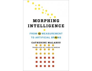 Morphing Intelligence: From IQ Measurement to Artificial Brains