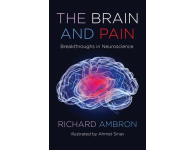 The Brain and Pain: Breakthroughs in Neuroscience