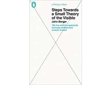 Steps Towards a Small Theory of the Visible (Penguin Great Ideas)