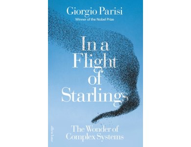 In a Flight of Starlings: The Wonder of Complex Systems