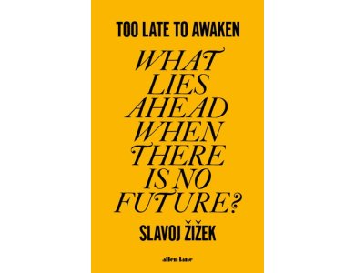 Too Late to Awaken: What Lies Ahead When There is no Future?