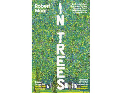 In Trees: An Exploration of Ancient Living Wisdom