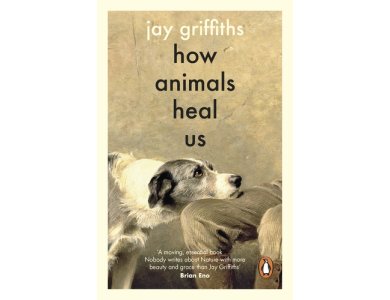 How Animals Heal Us