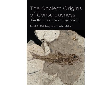 The Ancient Origins of Consciousness: How the Brain Created Experience