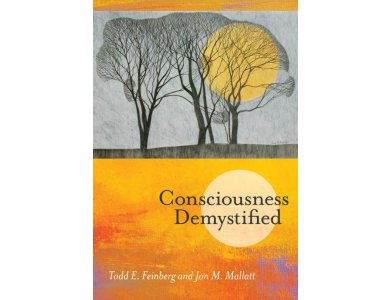 Consciousness Demystified