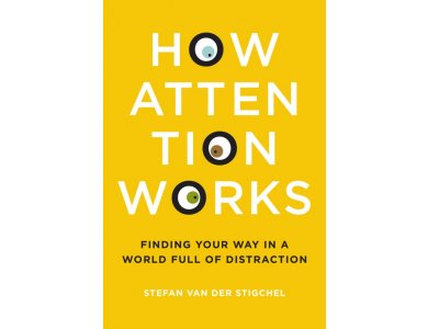 How Attention Works: Finding Your Way in a World Full of Distraction